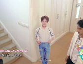 吃瓜娱乐马天宇,揭秘娱乐圈幕后故事