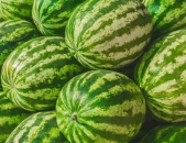 吃瓜网今日吃瓜热门大瓜在线观看,吃瓜网独家直播,带你一网打尽全网热点