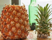 菠萝的功效,天然消化助手,健康生活必备水果”