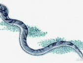 属蛇人出生月的命运,揭秘不同月份属蛇人的命运特点